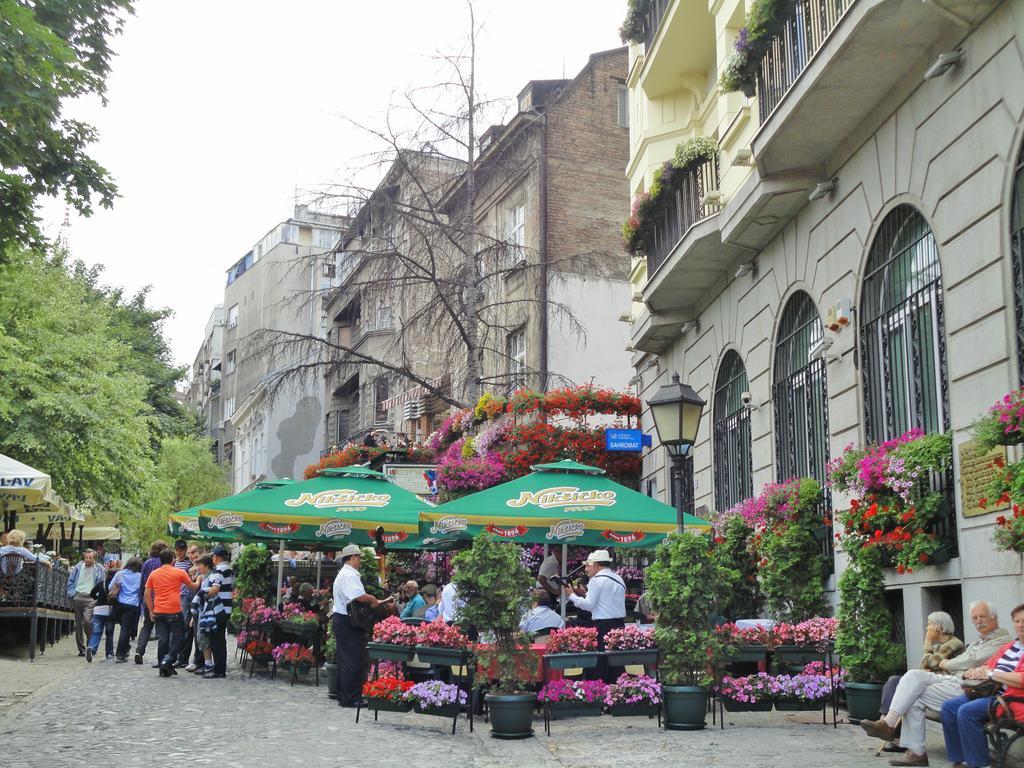 Sensitive Apartment Belgrad Dış mekan fotoğraf